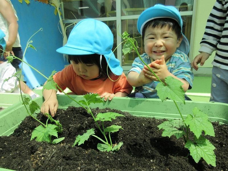 eyJidWNrZXQiOiJwcmQtY2NpY3Qtam9jciIsImtleSI6Im5vdGljZS80NzA4NC9pbWFnZXMvM2U3ZWQ5M2E2NzYwODdlZjA2MzcwMzhlNGQ5ZDk4NDFlN2RjODBmZS5qcGciLCJlZGl0cyI6eyJyZXNpemUiOnsid2lkdGgiOjk2MCwid2l0aG91dEVubGFyZ2VtZW50Ijp0cnVlfSwicm90YXRlIjpudWxsfX0=?signature=0afb6abaa9d38fae08b2fc1511a7ced76f59b155dc00b81221741017e9611eaa