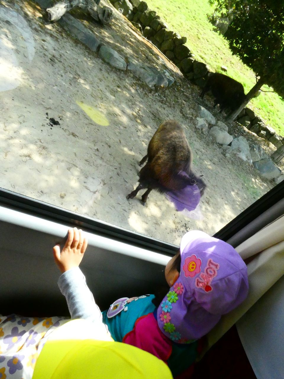 eyJidWNrZXQiOiJwcmQtY2NpY3Qtam9jciIsImtleSI6Im5vdGljZS8xMjQ4MTMvaW1hZ2VzL1AxMTc5NzQzLkpQRyIsImVkaXRzIjp7InJlc2l6ZSI6eyJ3aWR0aCI6OTYwLCJ3aXRob3V0RW5sYXJnZW1lbnQiOnRydWV9LCJyb3RhdGUiOm51bGx9fQ==?signature=01418c2eeb2118bd843ce5e047db87a8b601381bdec59b5044fbbcb3c57cae48