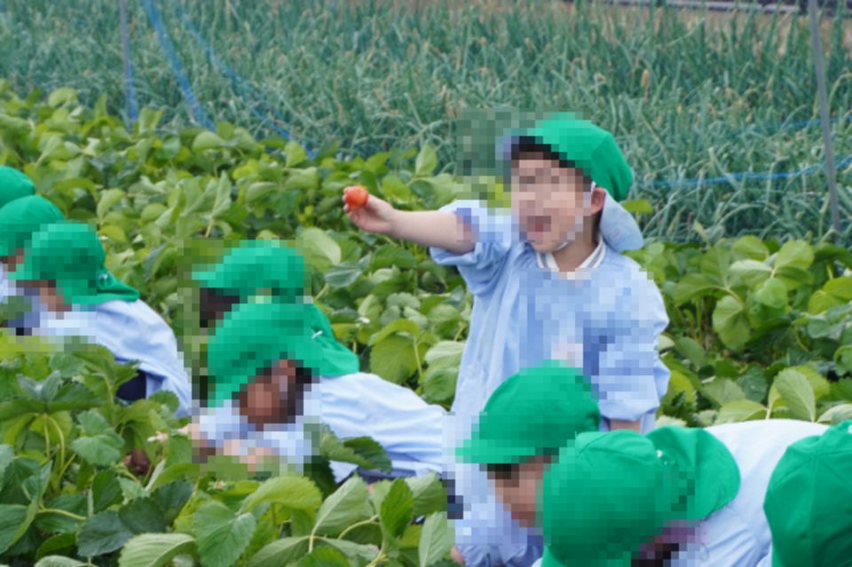 eyJidWNrZXQiOiJwcmQtY2NpY3Qtam9jciIsImtleSI6Im5vdGljZS8xMzIzNDgvaW1hZ2VzL0RTQzAxNTQyLkpQRyIsImVkaXRzIjp7InJlc2l6ZSI6eyJ3aWR0aCI6OTYwLCJ3aXRob3V0RW5sYXJnZW1lbnQiOnRydWV9LCJyb3RhdGUiOm51bGx9fQ==?signature=408db82e556ed961ca8daf24b292a42afd700907fe292e17da8c77093467cde6