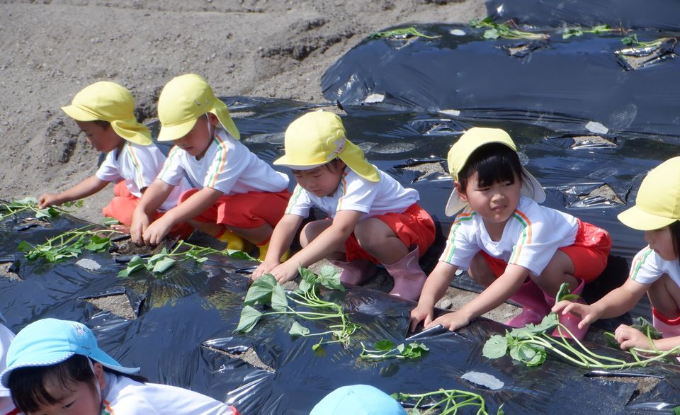 eyJidWNrZXQiOiJwcmQtY2NpY3Qtam9jciIsImtleSI6Im5vdGljZS8xMzYxNzUvaW1hZ2VzL0RTQ0Y5NTQyLkpQRyIsImVkaXRzIjp7InJlc2l6ZSI6eyJ3aWR0aCI6OTYwLCJ3aXRob3V0RW5sYXJnZW1lbnQiOnRydWV9LCJyb3RhdGUiOm51bGx9fQ==?signature=893e974c9034465c735aec39dc4c5ac8a237370b416df451ee0771682f22c9eb