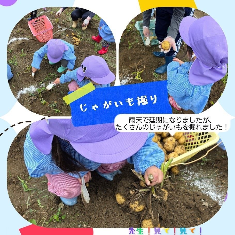 eyJidWNrZXQiOiJwcmQtY2NpY3Qtam9jciIsImtleSI6Im5vdGljZS8xNDUwMjMvaW1hZ2VzL0luQ29sbGFnZV8yMDI2MDcwMl8wOTA3MTc0MzkuanBnIiwiZWRpdHMiOnsicmVzaXplIjp7IndpZHRoIjo5NjAsIndpdGhvdXRFbmxhcmdlbWVudCI6dHJ1ZX0sInJvdGF0ZSI6bnVsbH19?signature=686ec3dcfe745b408fe5cb16573faaff4dd37e46cca37c8bcb2a136e73693163