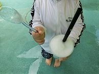eyJidWNrZXQiOiJwcmQtY2NpY3Qtam9jciIsImtleSI6Im5vdGljZS8xNDY4MTEvaW1hZ2VzL3MtQ0lNRzE3MzIuanBnIiwiZWRpdHMiOnsicmVzaXplIjp7IndpZHRoIjo5NjAsIndpdGhvdXRFbmxhcmdlbWVudCI6dHJ1ZX0sInJvdGF0ZSI6bnVsbH19?signature=a8d896d12789d526c46efdcef328e89acc0f83476fe33da3caabee536d32c081