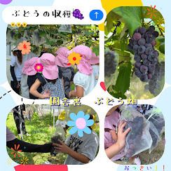 eyJidWNrZXQiOiJwcmQtY2NpY3Qtam9jciIsImtleSI6Im5vdGljZS8xNDk3ODEvaW1hZ2VzL0luQ29sbGFnZV8yMDI2MDcyNF8xMTI3MTkwMjUuanBnIiwiZWRpdHMiOnsicmVzaXplIjp7IndpZHRoIjo5NjAsIndpdGhvdXRFbmxhcmdlbWVudCI6dHJ1ZX0sInJvdGF0ZSI6bnVsbH19?signature=9d4d6e76ec8f717878791c3dc2bcf48fc24a49233abe3d2244f2c4c27d5f95bd
