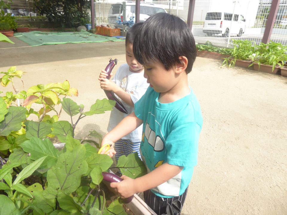 eyJidWNrZXQiOiJwcmQtY2NpY3Qtam9jciIsImtleSI6Im5vdGljZS8xNDkyODUvaW1hZ2VzL1AxNzgwNTkzLkpQRyIsImVkaXRzIjp7InJlc2l6ZSI6eyJ3aWR0aCI6OTYwLCJ3aXRob3V0RW5sYXJnZW1lbnQiOnRydWV9LCJyb3RhdGUiOm51bGx9fQ==?signature=f0b0e7e429971d86b44e0f0edc64c508d4305e1b2bb7433834918ef5aed58af0