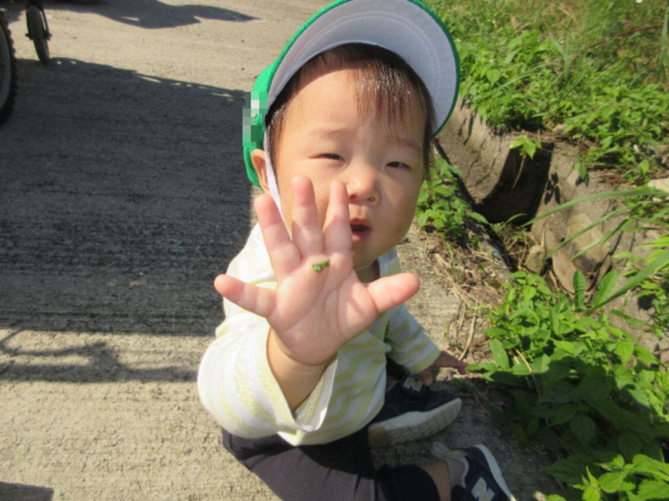 eyJidWNrZXQiOiJwcmQtY2NpY3Qtam9jciIsImtleSI6Im5vdGljZS8xNjA4NTAvaW1hZ2VzL0lNR180NjY3LkpQRyIsImVkaXRzIjp7InJlc2l6ZSI6eyJ3aWR0aCI6OTYwLCJ3aXRob3V0RW5sYXJnZW1lbnQiOnRydWV9LCJyb3RhdGUiOm51bGx9fQ==?signature=4e135d6dd699df794786ad54ee998112f2005b79cf009a8b1ec3486feb6acdf5