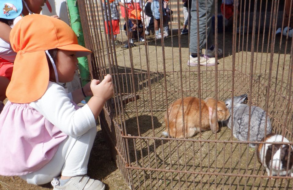 eyJidWNrZXQiOiJwcmQtY2NpY3Qtam9jciIsImtleSI6Im5vdGljZS8xNjE2OTAvaW1hZ2VzL0RTQ0YyNjI5LkpQRyIsImVkaXRzIjp7InJlc2l6ZSI6eyJ3aWR0aCI6OTYwLCJ3aXRob3V0RW5sYXJnZW1lbnQiOnRydWV9LCJyb3RhdGUiOm51bGx9fQ==?signature=f6f3c8b3d43b43082ac38293361c0348e48fbc46fd2905596a1216148537a76c